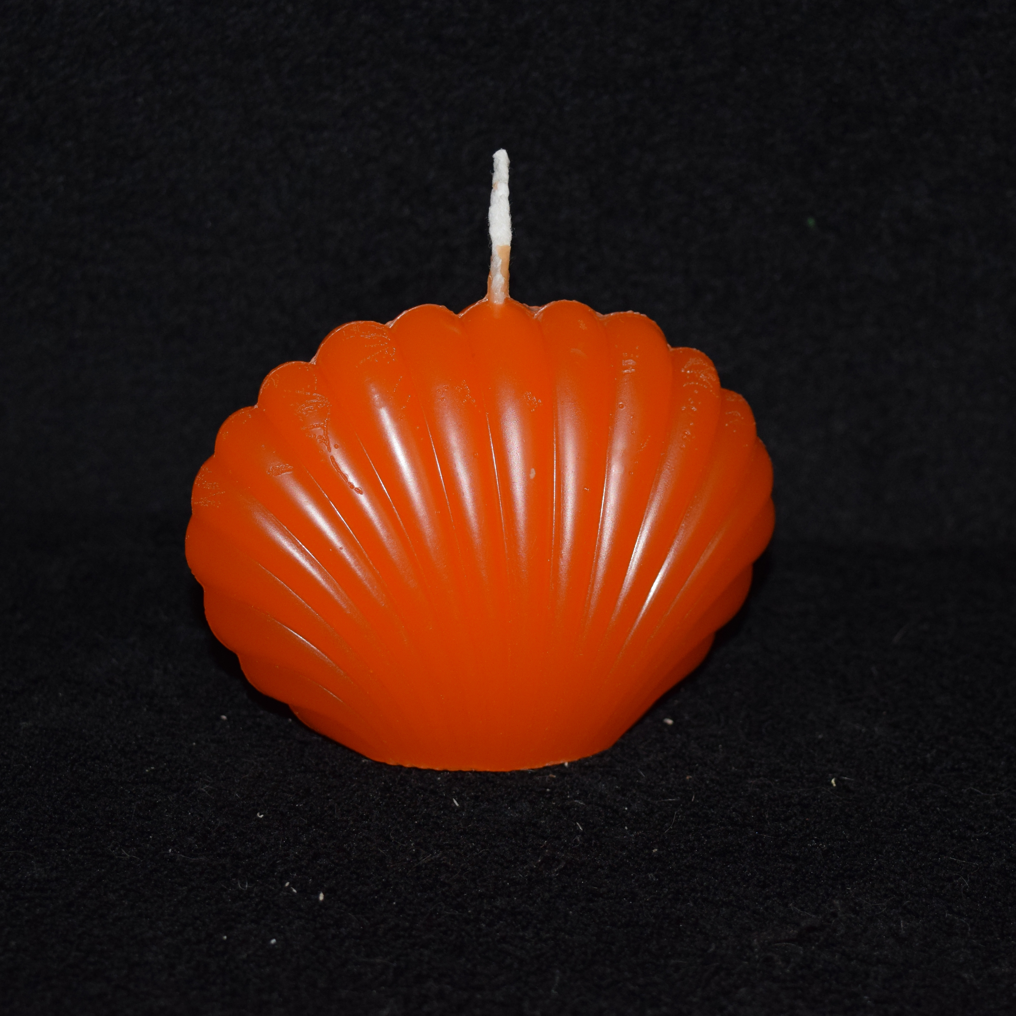 Muschel-Kerze einfarbig